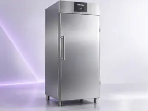 Liebherr commercial freezer repair