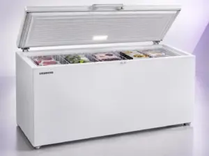Liebherr commercial refrigerator repair
