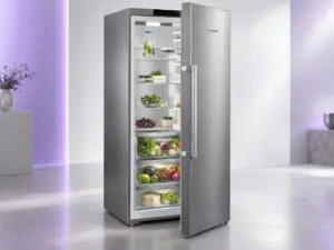 Liebherr freezer repair